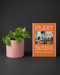The Plant Parent