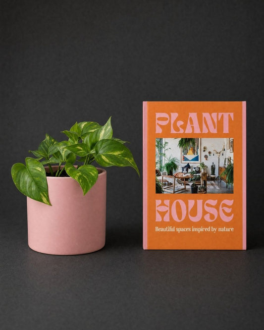 The Plant Parent
