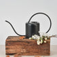 Watering Can (Black)