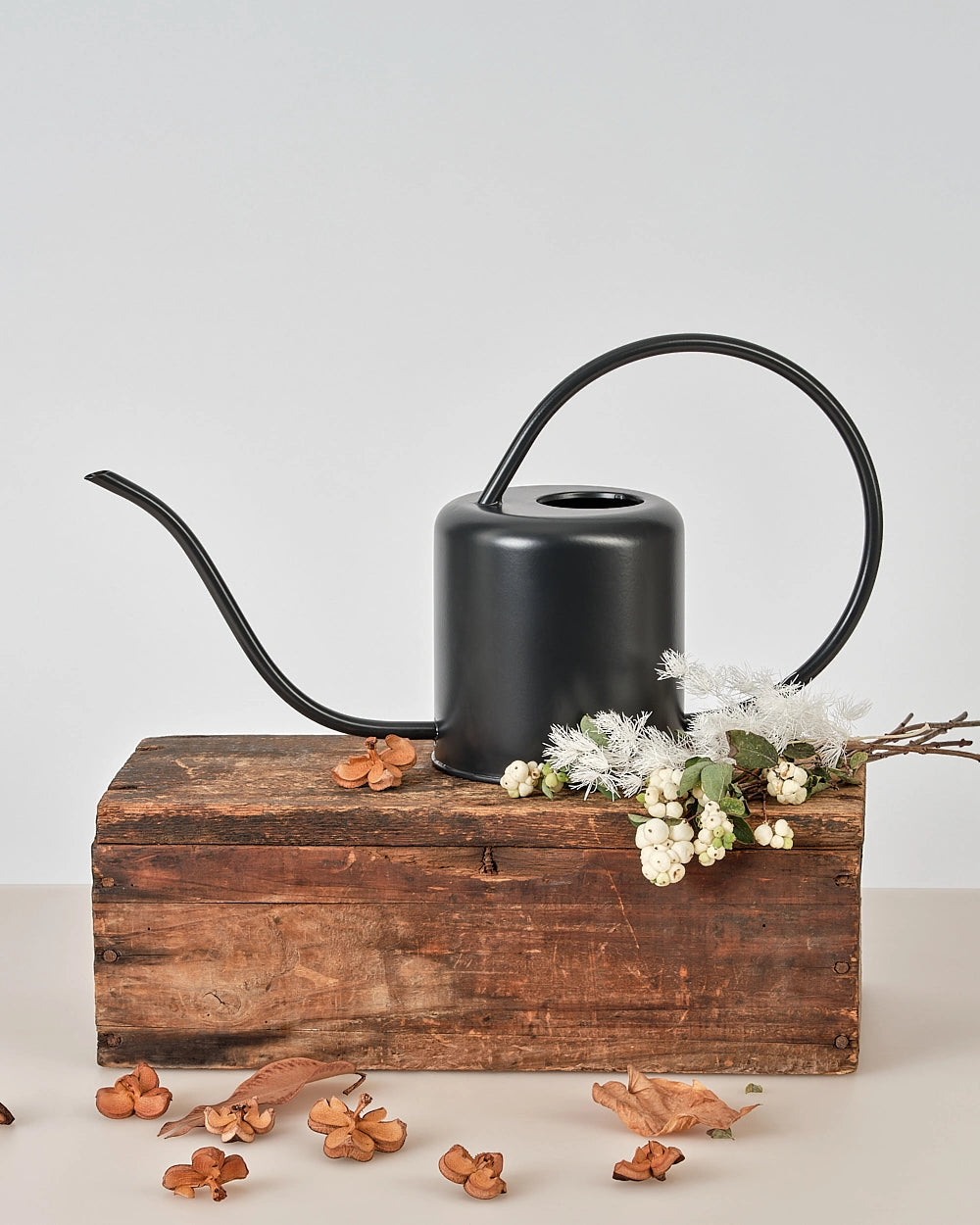 Watering Can (Black)