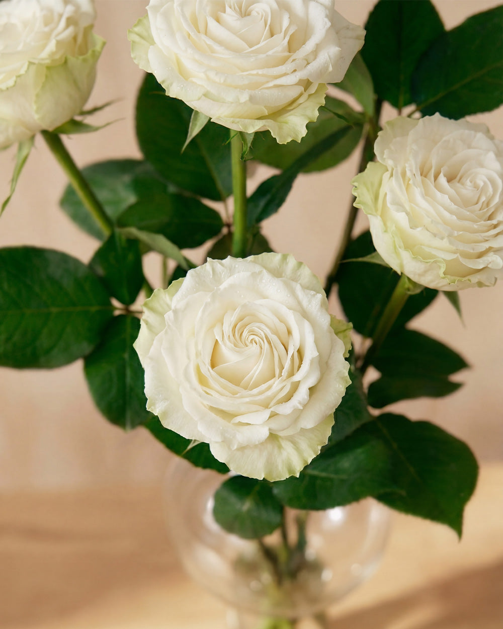 White Roses in Balloon Glass Vase