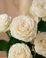 White Roses in Balloon Glass Vase
