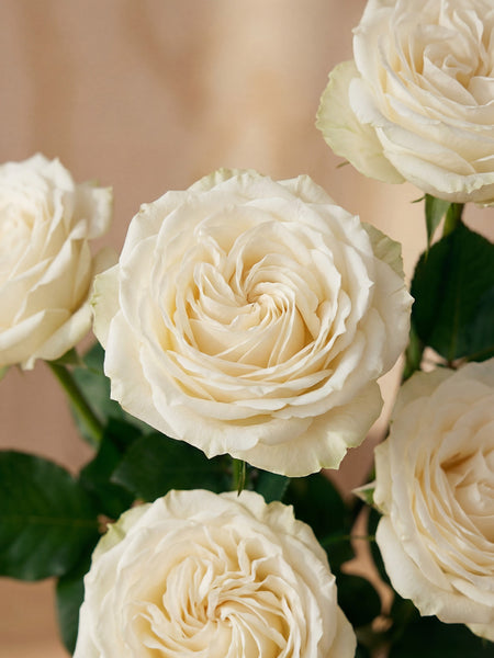 White Roses in Balloon Glass Vase