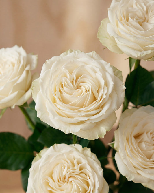 White Roses in Balloon Glass Vase