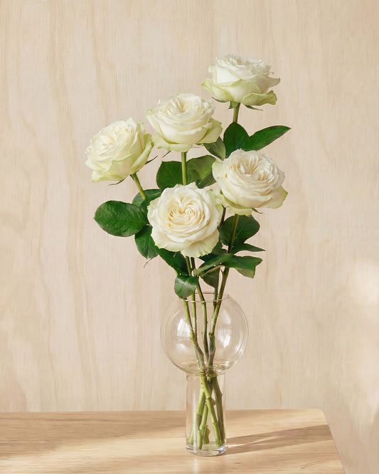 White Roses in Balloon Glass Vase