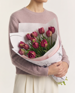 Amsterdam tulips close-up in studio — Fig & Bloom