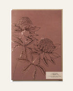 brown waratah card front design