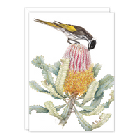 Honeyeater on Banksia