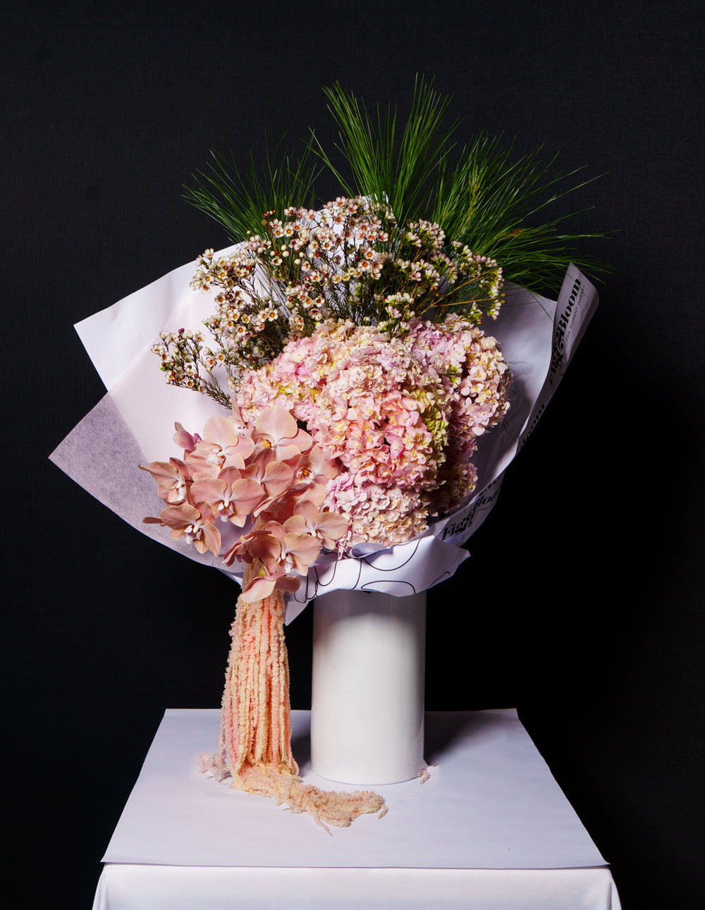 Carmen arrangement of blush hydrangea and apricot phalaenopsis with trailing amaranthus, on a white plinth against black