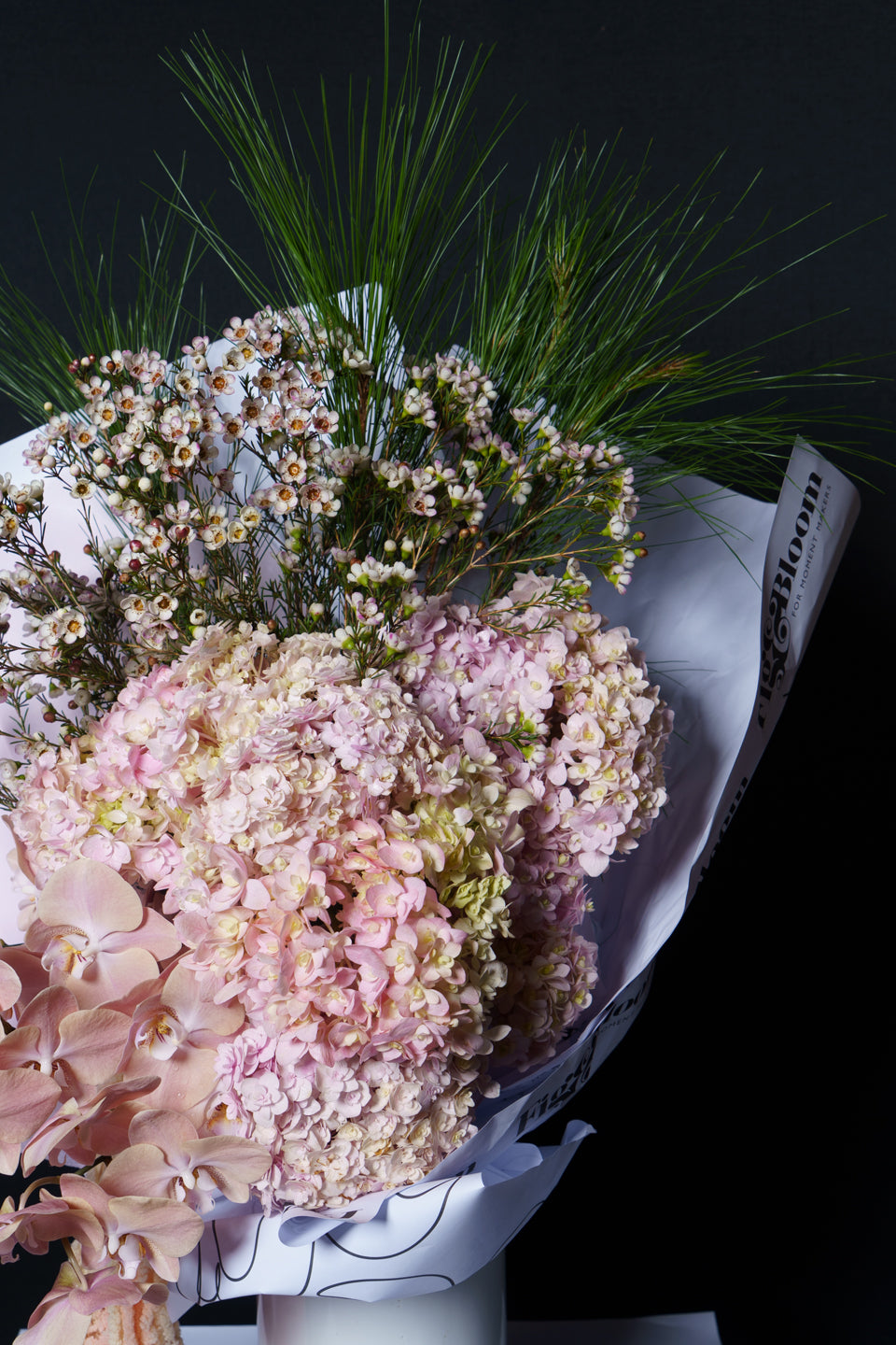 Carmen arrangement seen from above: blush hydrangea, wax flower and orchids