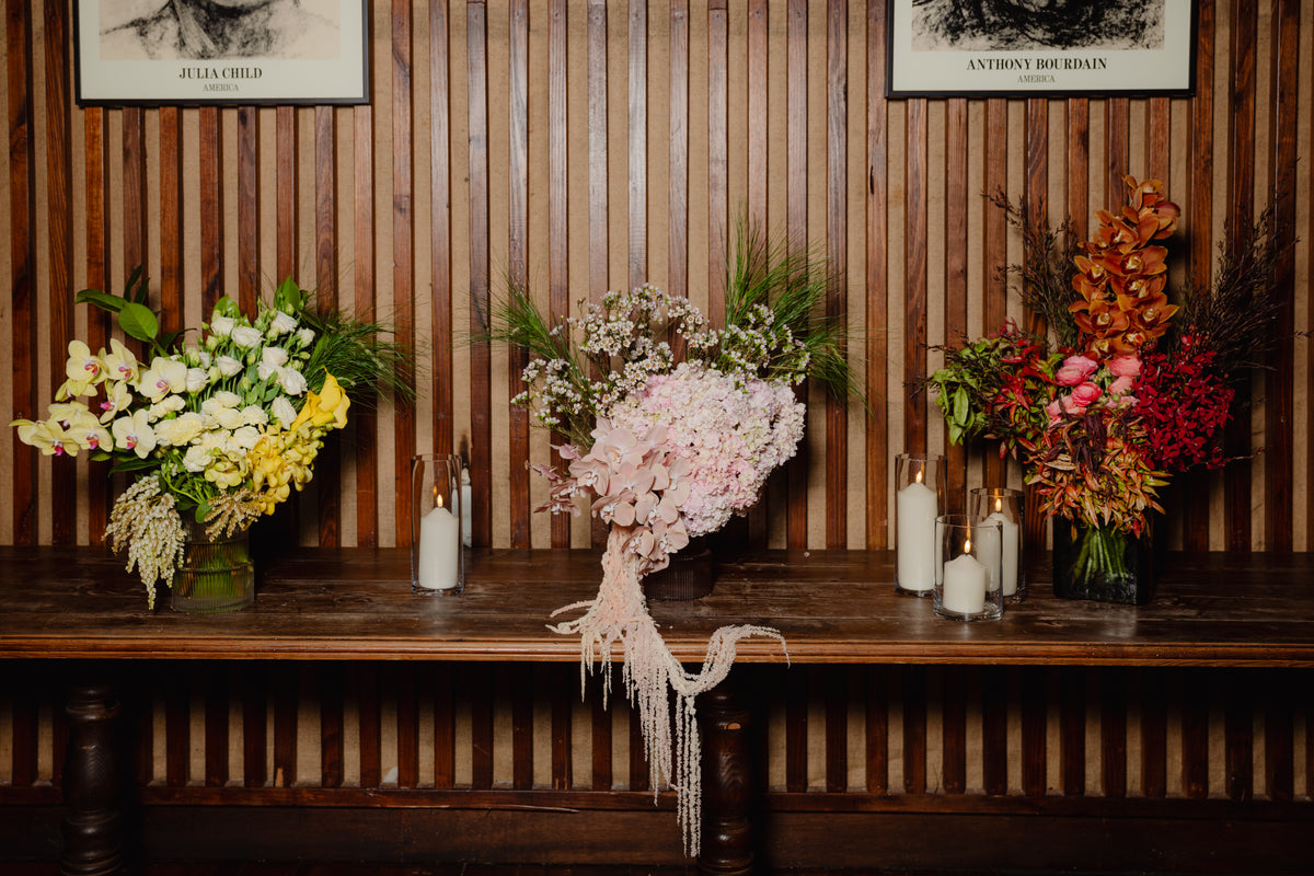Soleil, Carmen and Sienna arranged along a timber bench beneath framed portraits