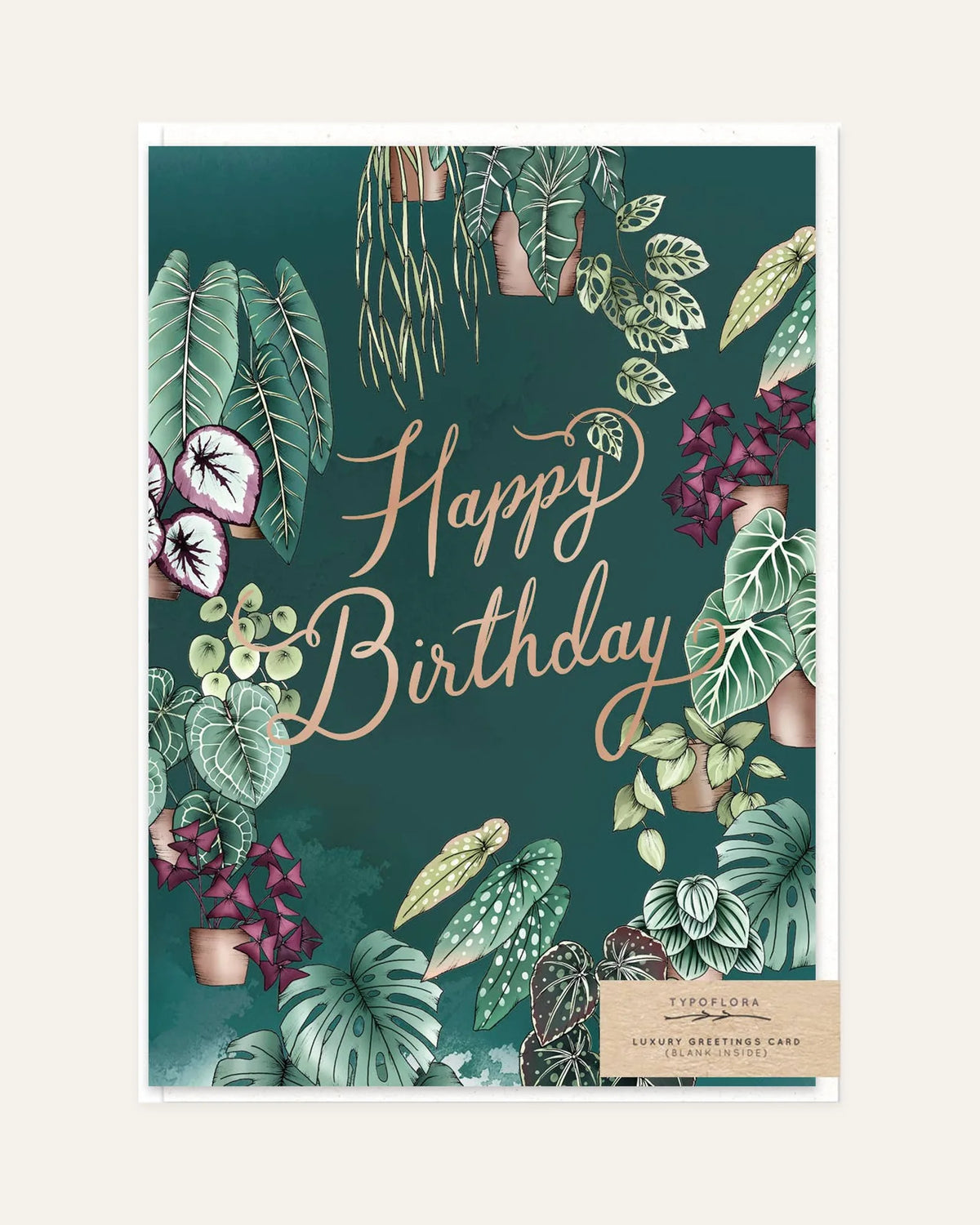 houseplants birthday card front design