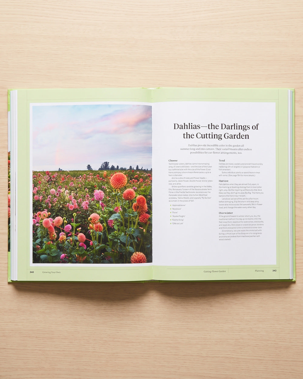Martha Stewart's Gardening Handbook open at the cutting garden chapter on dahlias