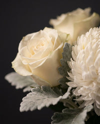 Detail of the Lucerne bouquet: cream roses, white chrysanthemum and dusty miller