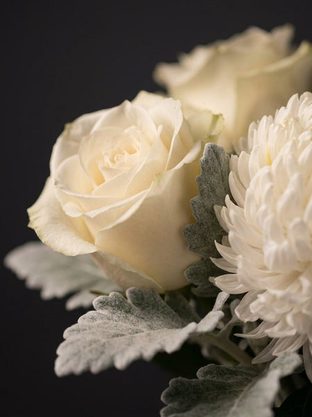 Detail of the Lucerne bouquet: cream roses, white chrysanthemum and dusty miller