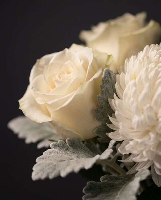 Detail of the Lucerne bouquet: cream roses, white chrysanthemum and dusty miller