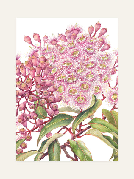 pink gum front design