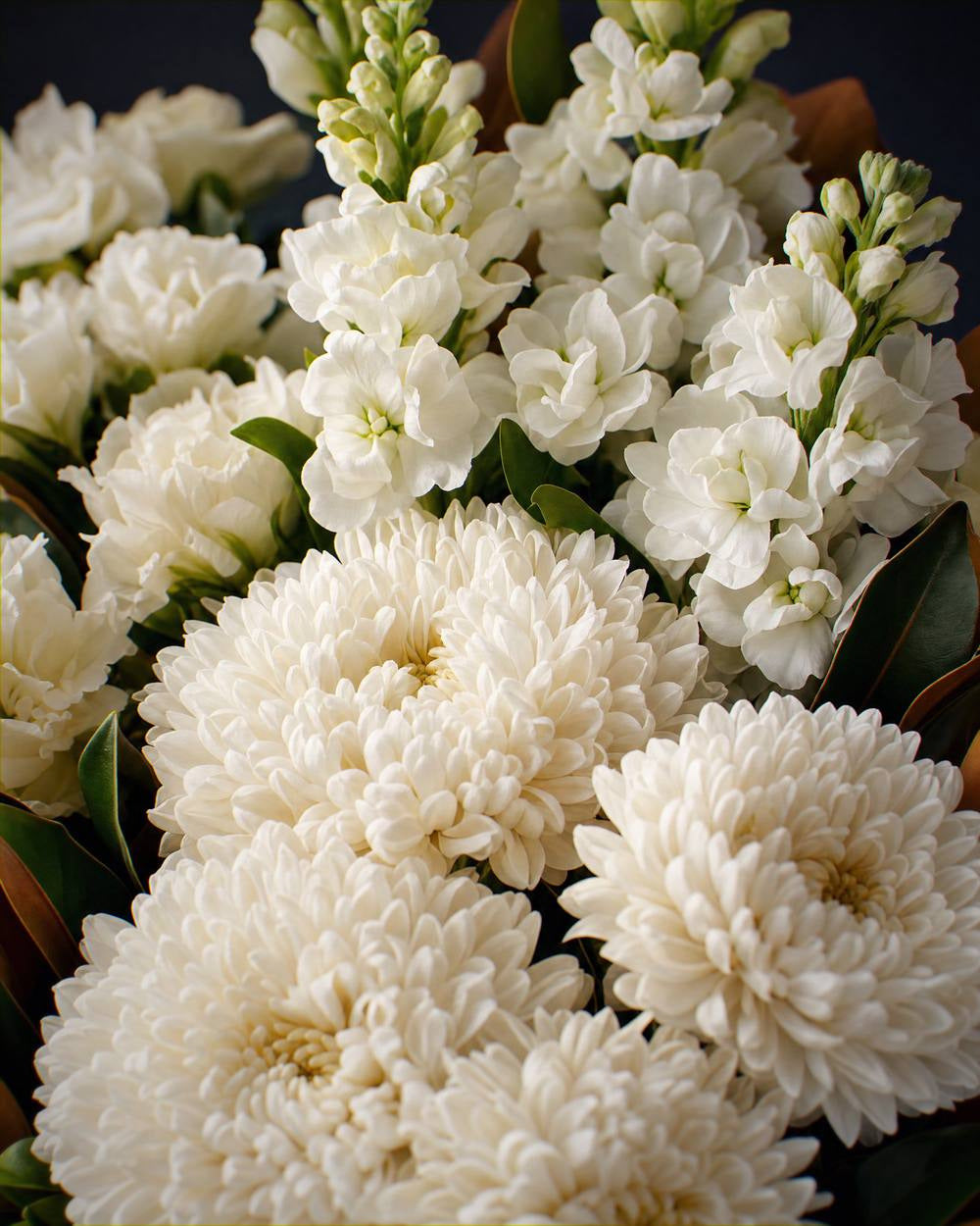 The Toast, a close view of the white chrysanthemums and stock in the Pyrenees bouquet.