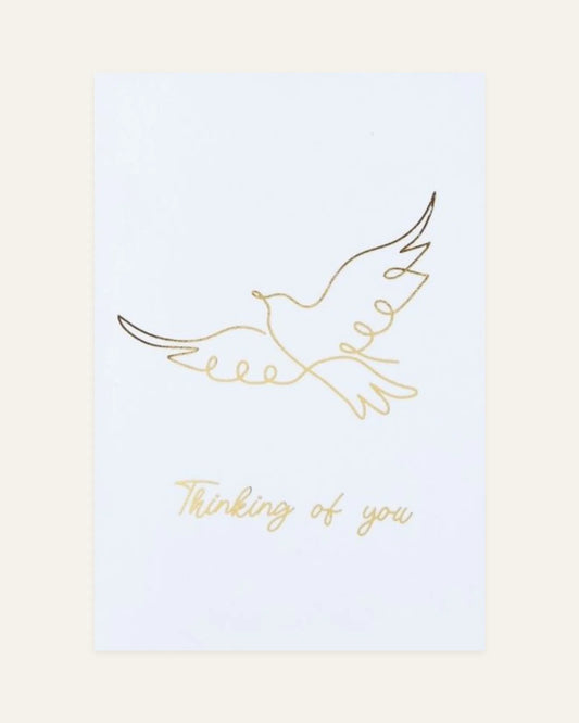 thinking of you greeting card dove — front design