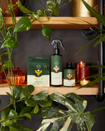 We The Wild Grow, Support and Protect styled on a shelf with houseplants