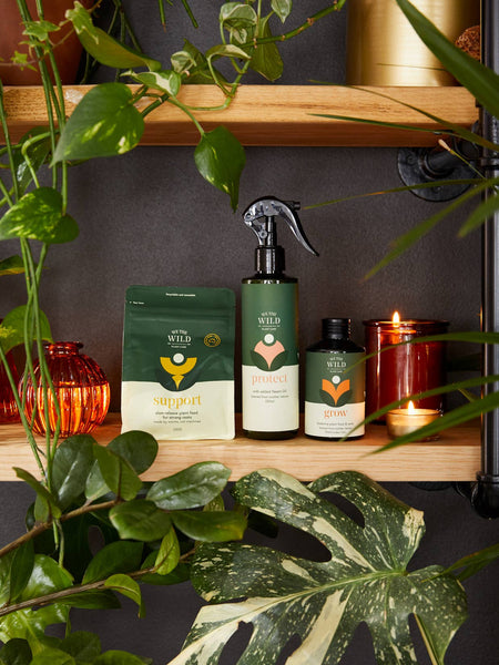 We The Wild Grow, Support and Protect styled on a shelf with houseplants