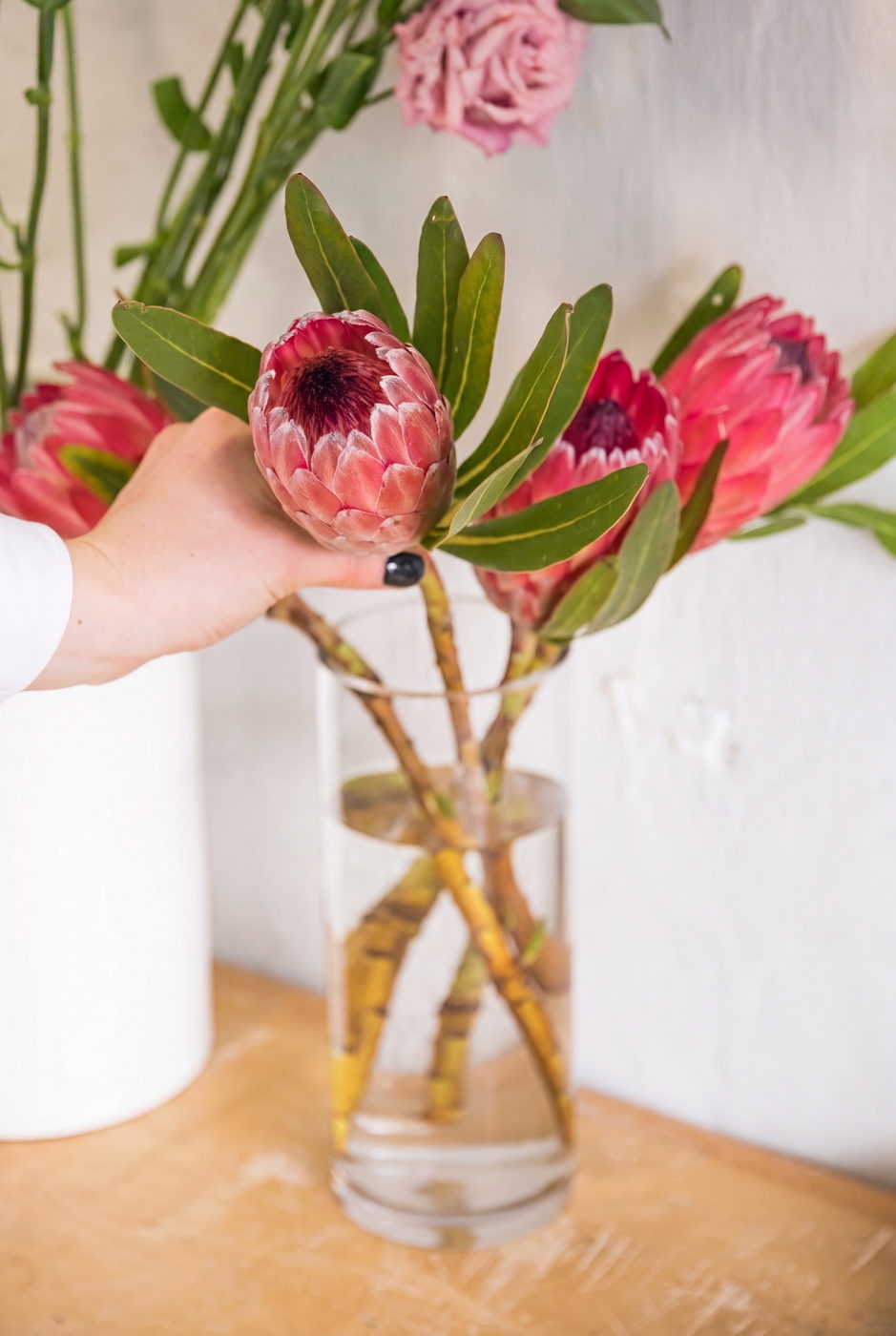Florist holding a pink protea above a vase of protea stems